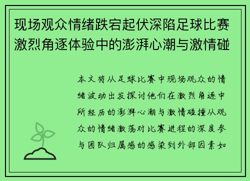 现场观众情绪跌宕起伏深陷足球比赛激烈角逐体验中的澎湃心潮与激情碰撞